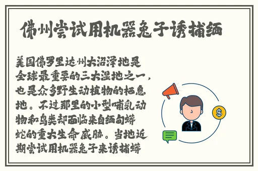 水多多dili网站